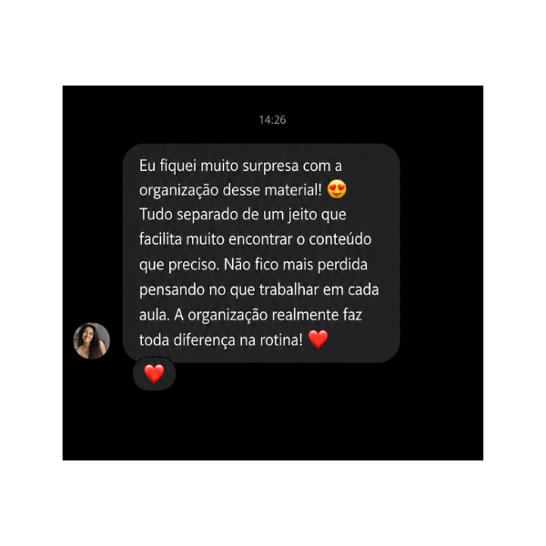 Depoimento de professora sobre a organização do material